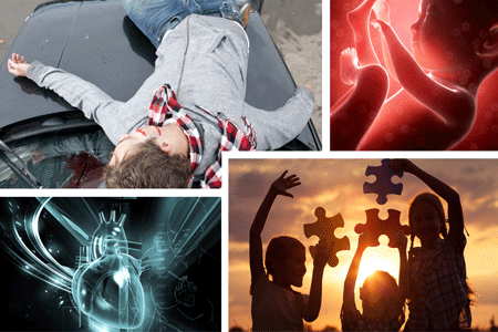 TEN360 Emergency Workshops